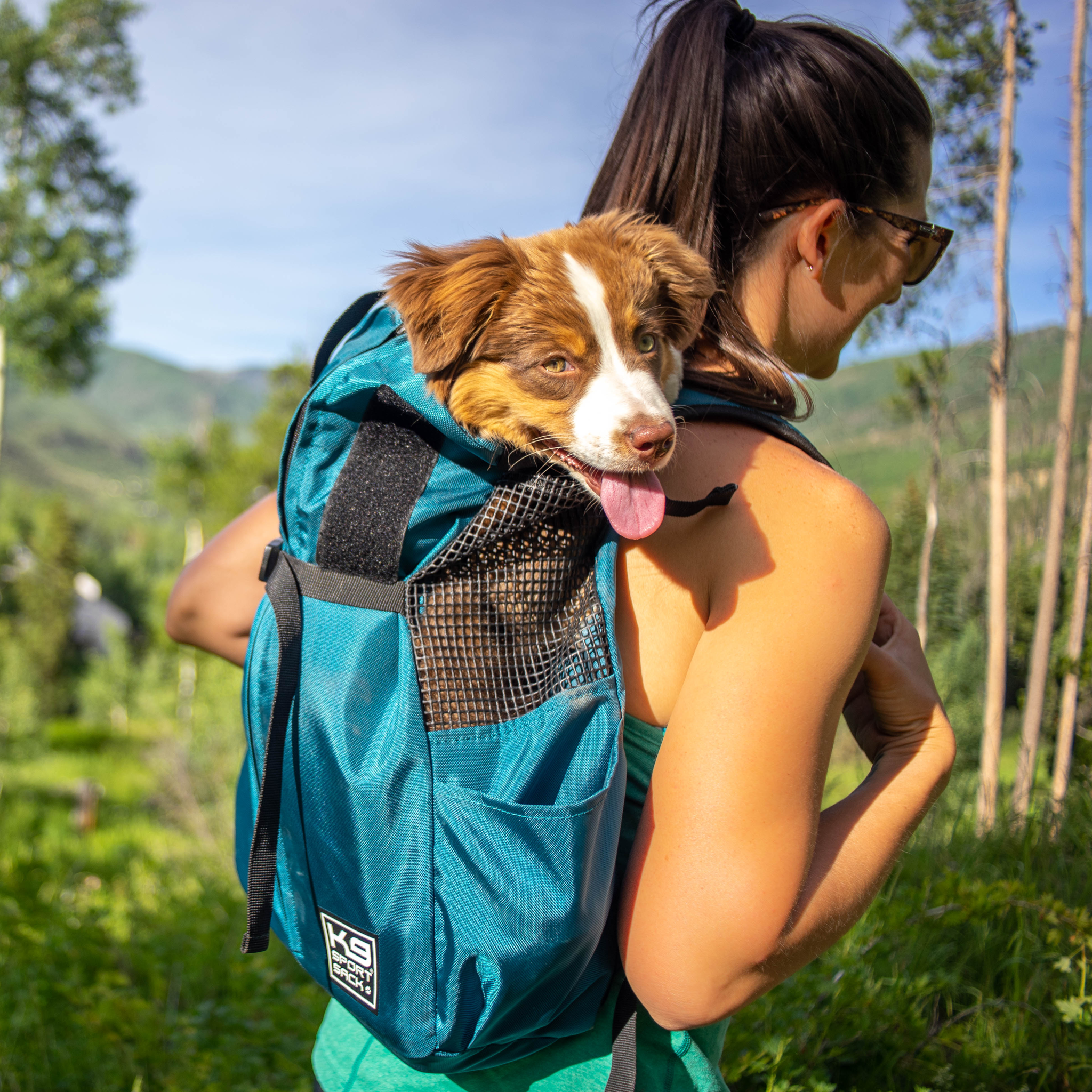 K9 sport sack flex sale