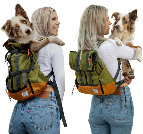 K9 sport sack french bulldog new arrivals